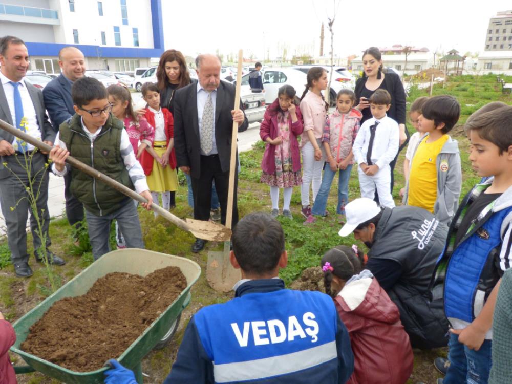 Fidan dikimi ve çevre